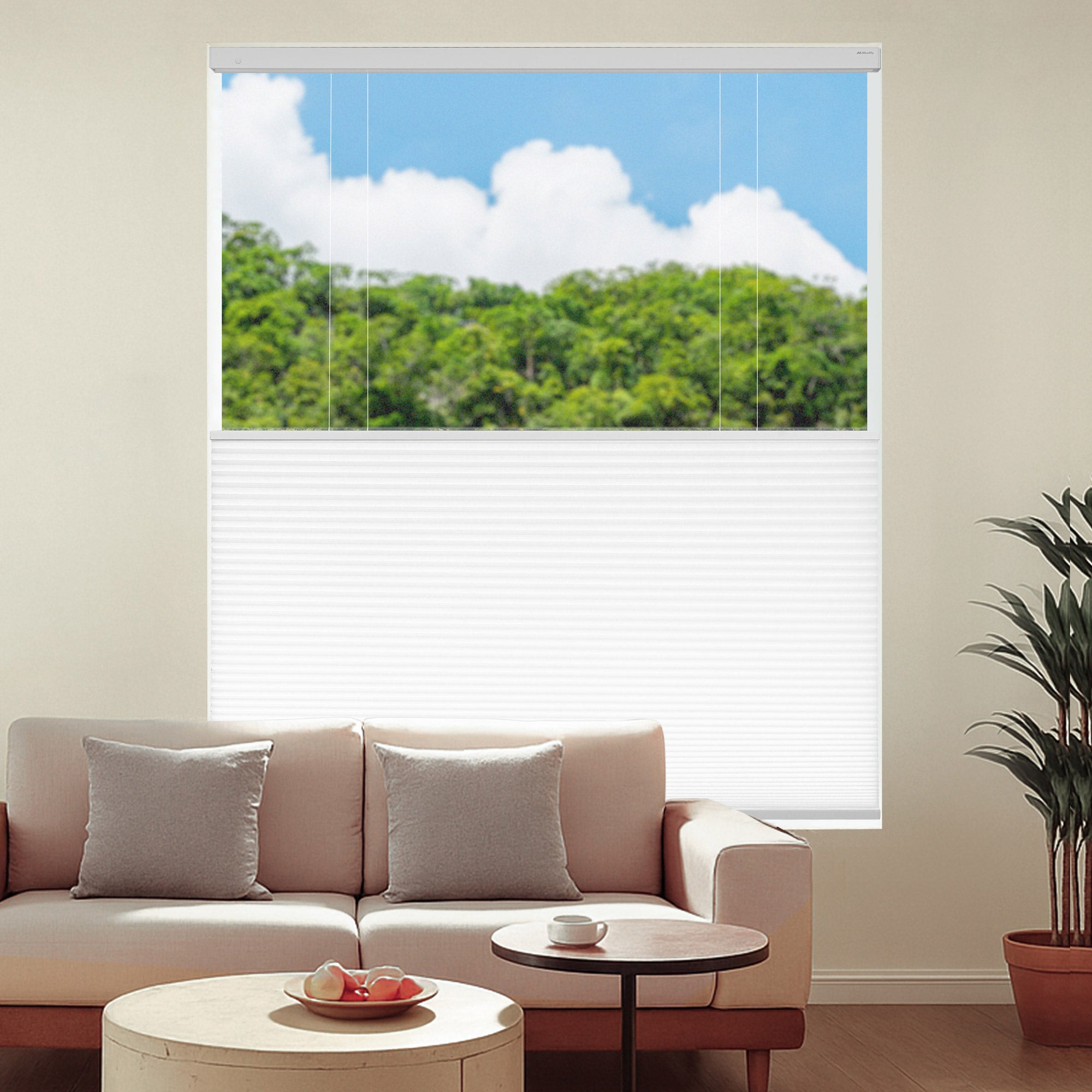 電動ハニカムシェード（ツイン） – Moodify